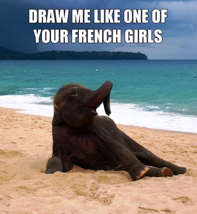 Acid Picdump (99 pics)