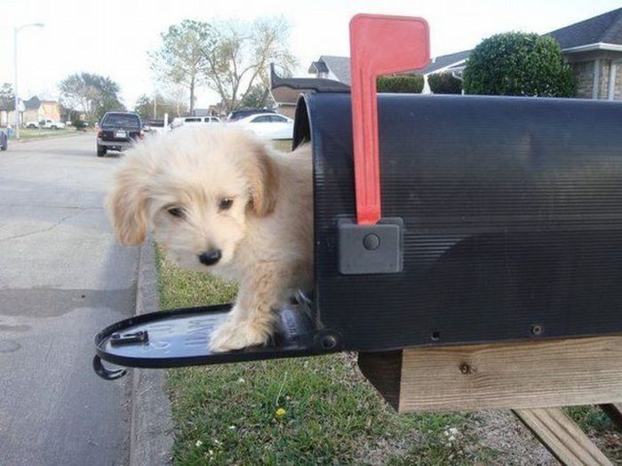 Acid Picdump (99 pics)