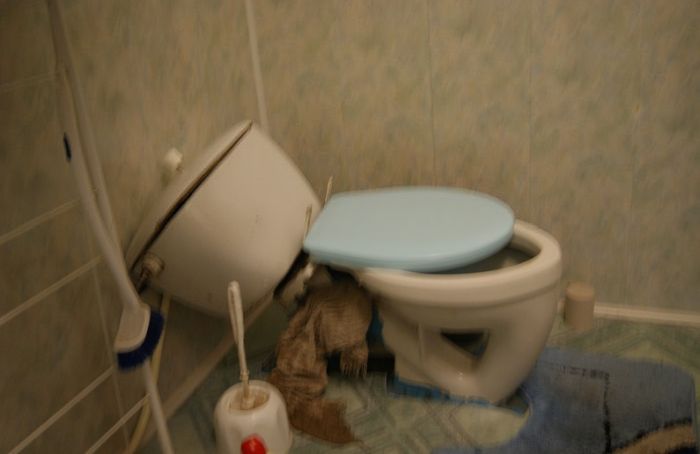 Acid Picdump (99 pics)