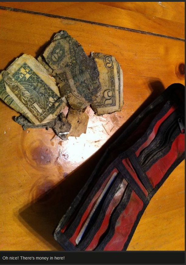 Reunion of a Man and His Wallet after 12 Years (9 pics)