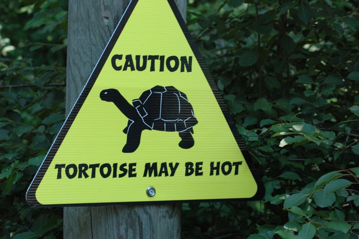 Funny Animal Signs (25 pics)