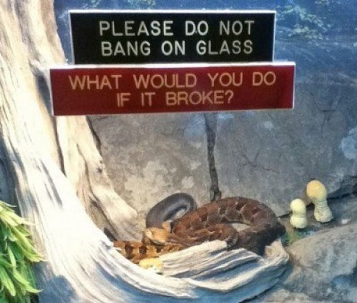 Funny Animal Signs (25 pics)