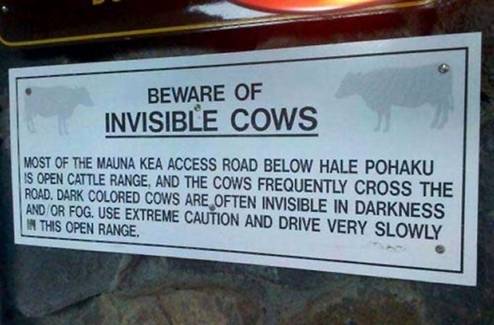 Funny Animal Signs (25 pics)