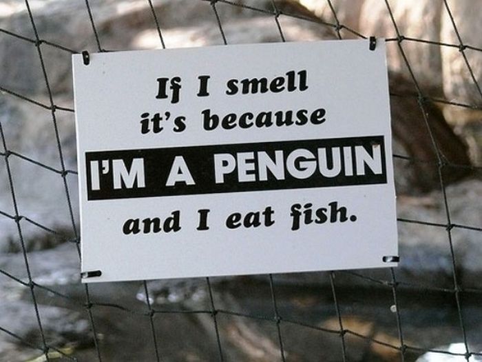 Funny Animal Signs (25 pics)