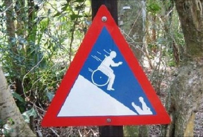 Funny Animal Signs (25 pics)