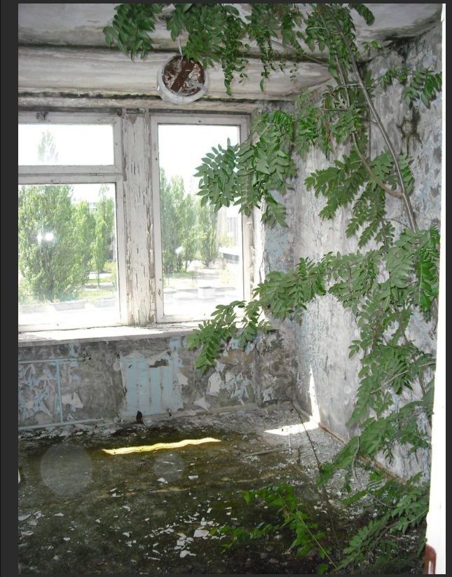 Chernobyl & Pripyat Today (63 pics)