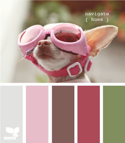 Kittenish And Puppyful Color Palettes (27 pics)
