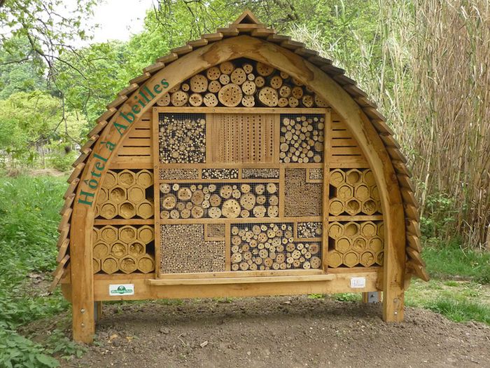 Bee Hotel in Paris (24 pics)
