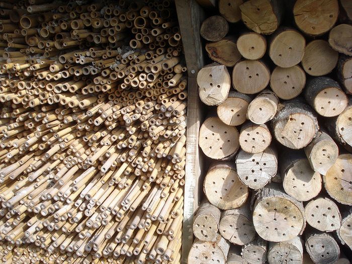 Bee Hotel in Paris (24 pics)