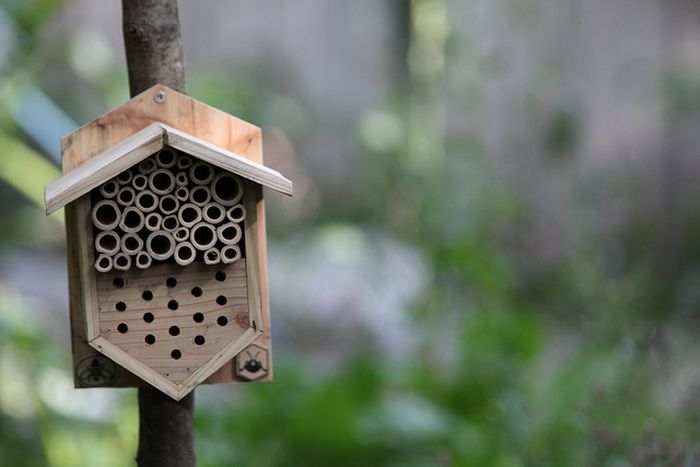 Bee Hotel in Paris (24 pics)