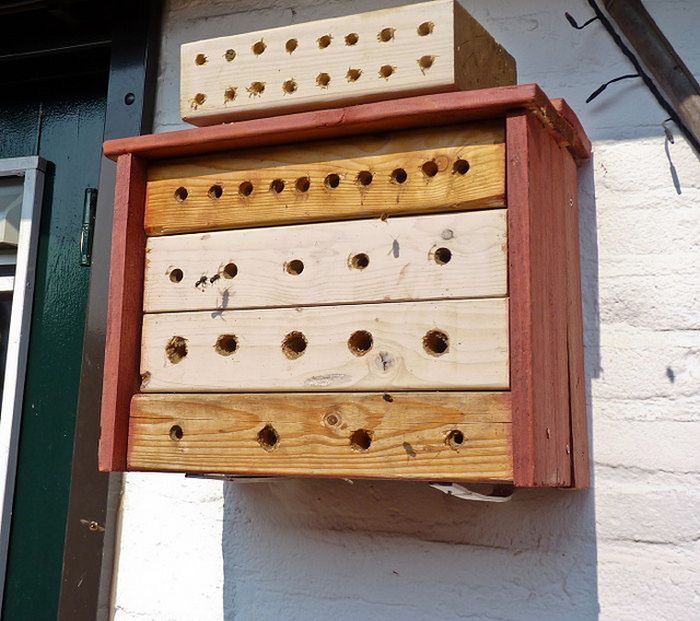 Bee Hotel in Paris (24 pics)