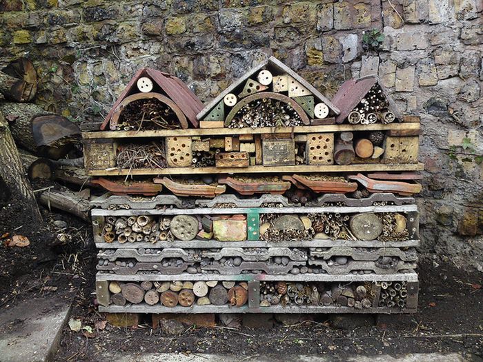Bee Hotel in Paris (24 pics)