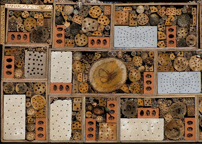 Bee Hotel in Paris (24 pics)
