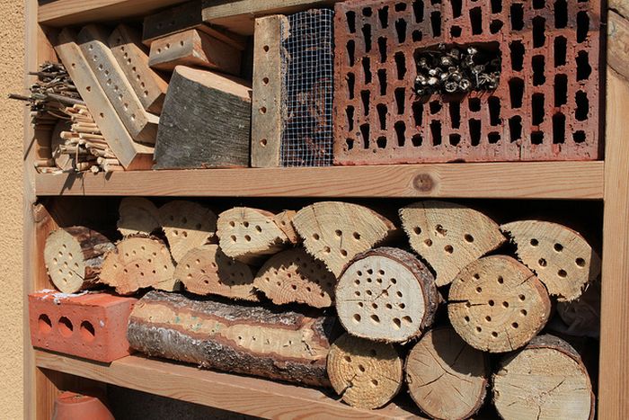 Bee Hotel in Paris (24 pics)