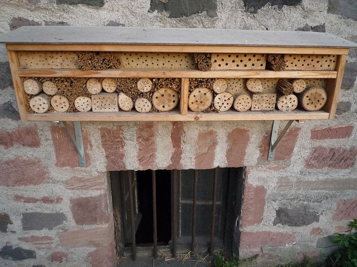 Bee Hotel in Paris (24 pics)