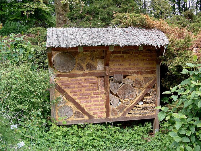 Bee Hotel in Paris (24 pics)