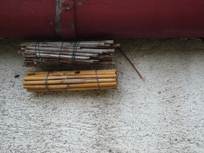 Bee Hotel in Paris (24 pics)