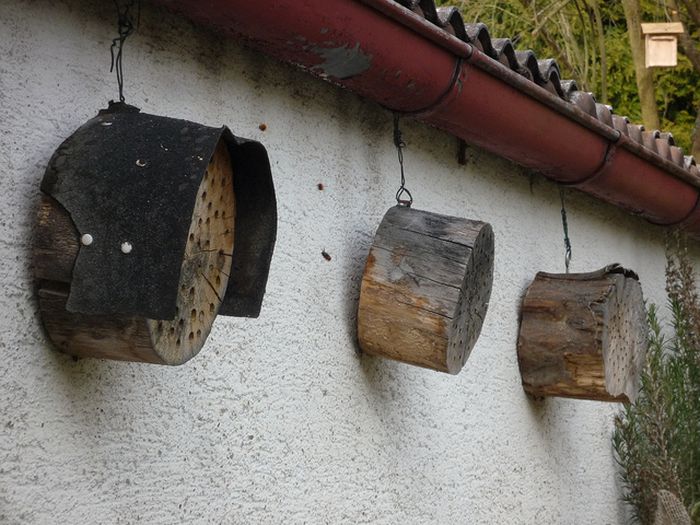 Bee Hotel in Paris (24 pics)