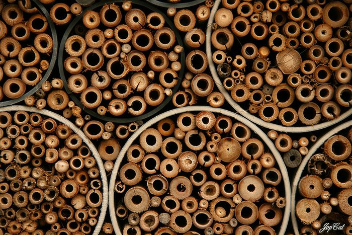 Bee Hotel in Paris (24 pics)