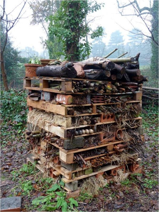 Bee Hotel in Paris (24 pics)