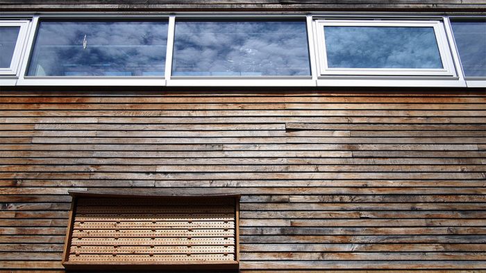 Bee Hotel in Paris (24 pics)