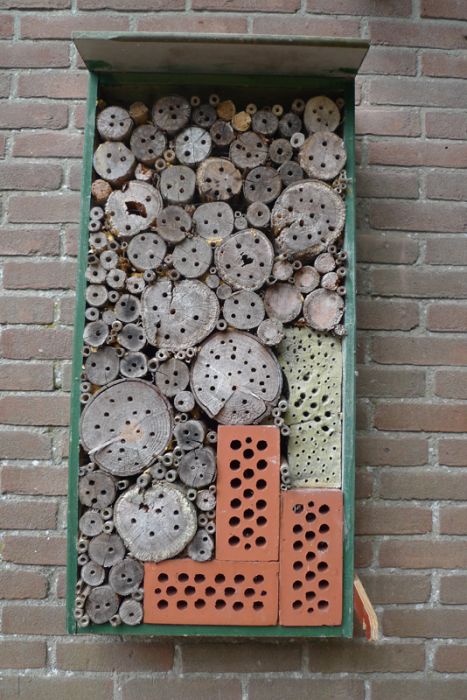 Bee Hotel in Paris (24 pics)