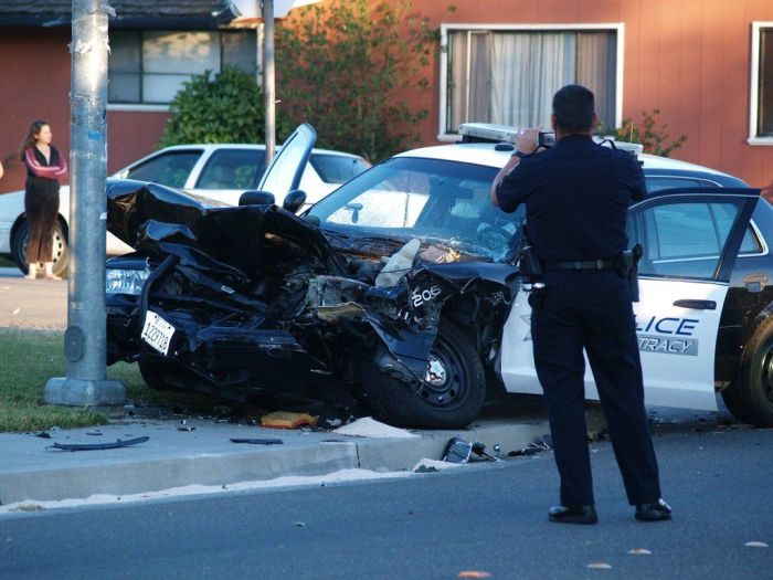 Police Car Crash (7 pics)