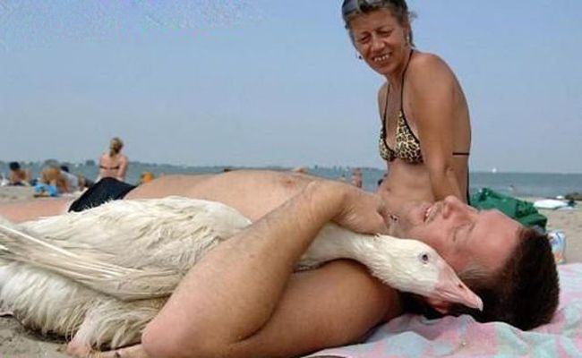 Awkward and Funny Beach Moments (42 pics)