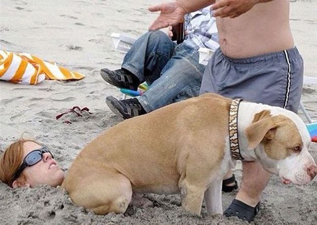 Awkward and Funny Beach Moments (42 pics)