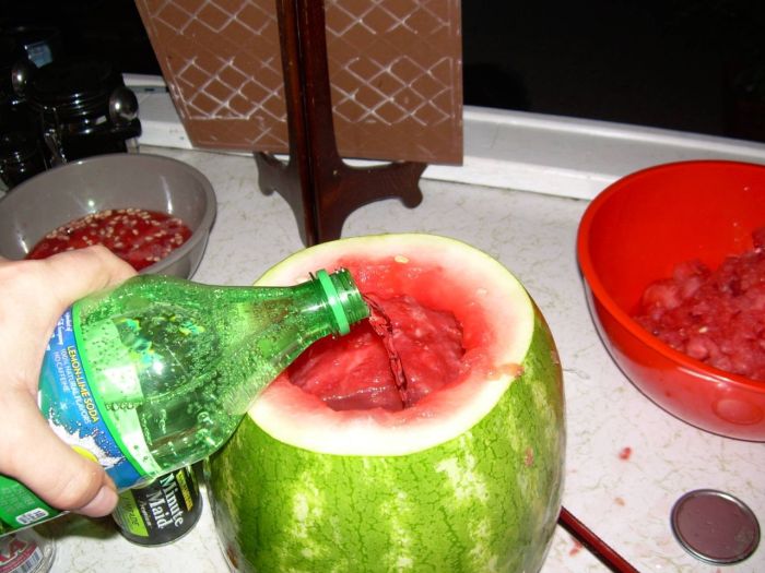 How to Make a Vodka Watermelon (9 pics)