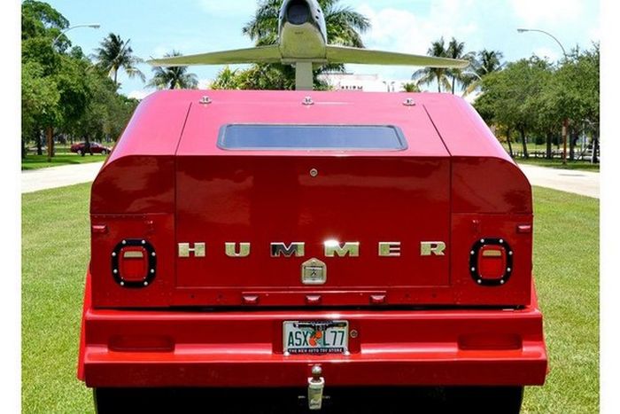 Modified Hummer H1 (40 pics)