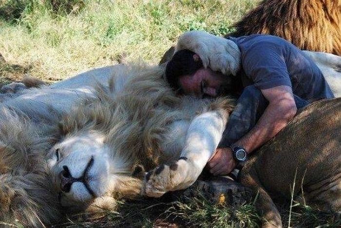 Acid Picdump (98 pics)