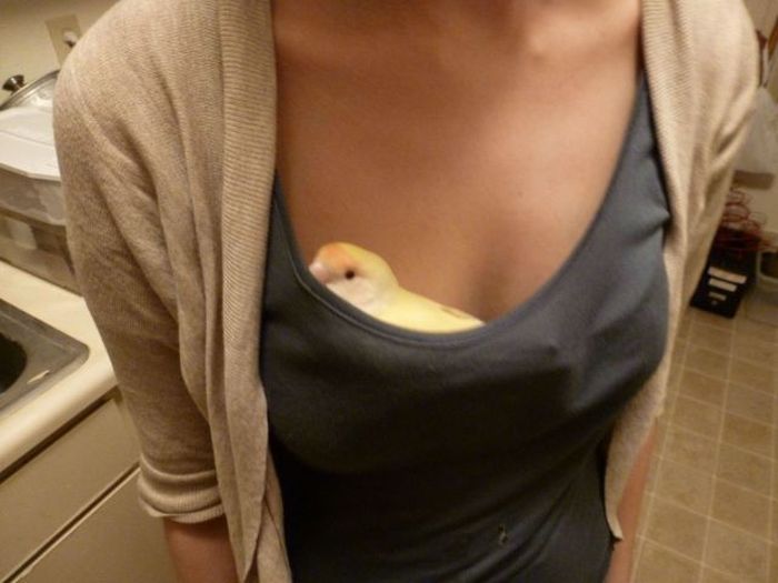 Acid Picdump (98 pics)