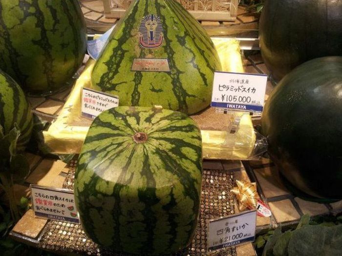 Acid Picdump (98 pics)