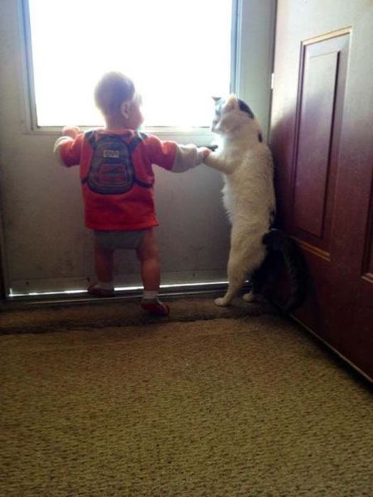 Acid Picdump (98 pics)