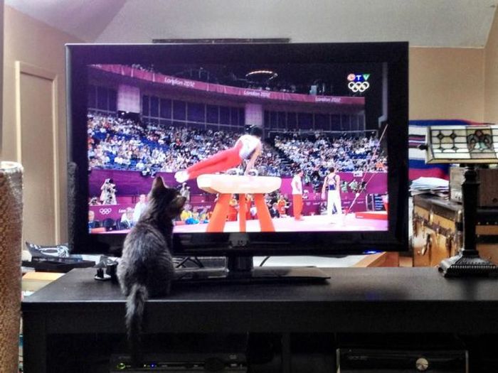 Acid Picdump (98 pics)