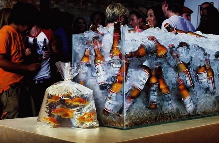 Acid Picdump (98 pics)