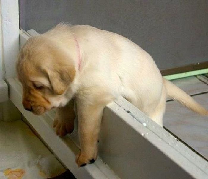 Acid Picdump (98 pics)