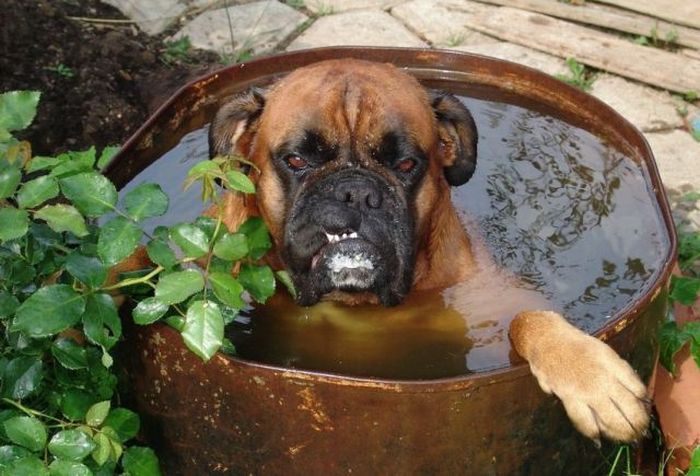 Acid Picdump (98 pics)