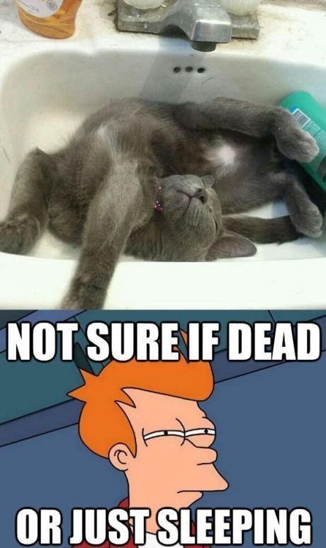 Acid Picdump (98 pics)