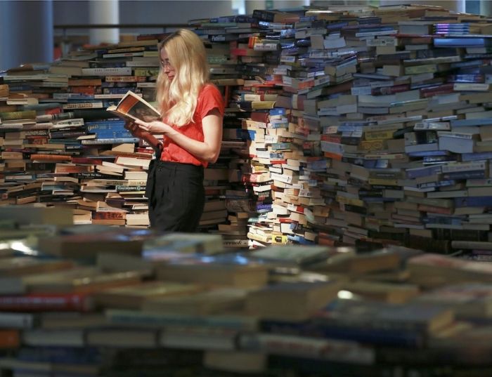Maze Made Out Of 250,000 Books (5 pics)