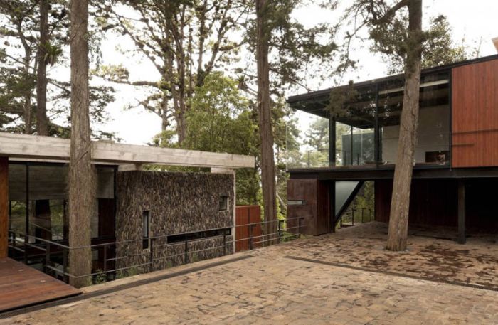 Home in the Forest (16 pics)