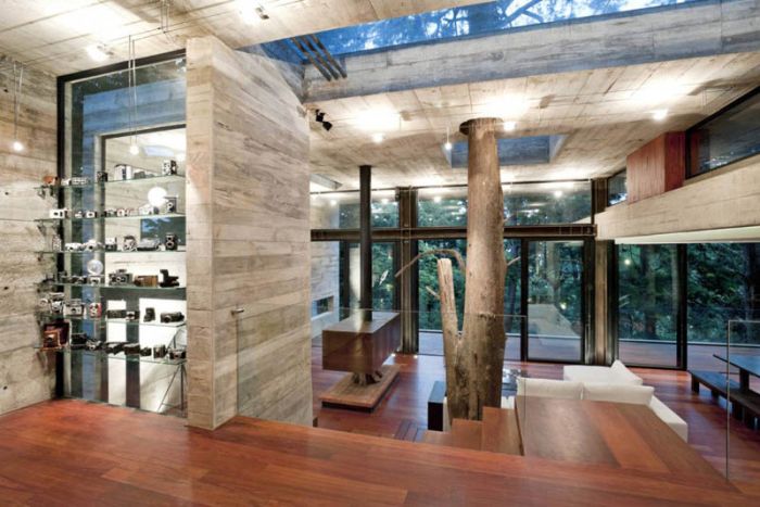 Home in the Forest (16 pics)
