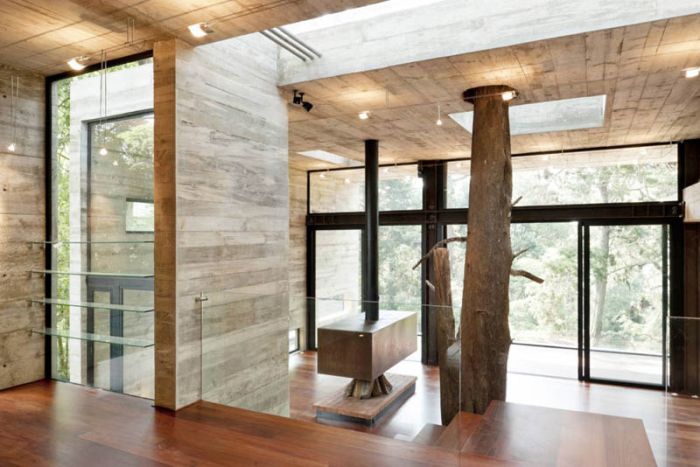 Home in the Forest (16 pics)