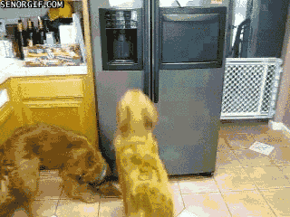 Acid Gifdump (16 gifs)