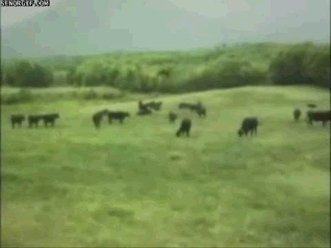 Acid Gifdump (16 gifs)