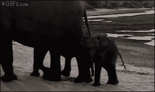 Acid Gifdump (16 gifs)