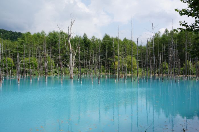 Blue Pond, Hokkaido, Japan (37 pics)