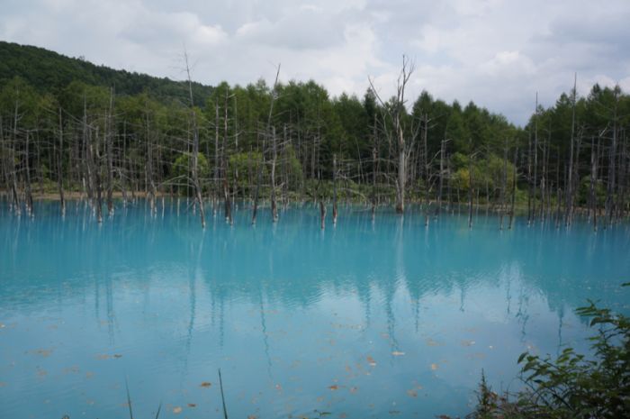 Blue Pond, Hokkaido, Japan (37 pics)