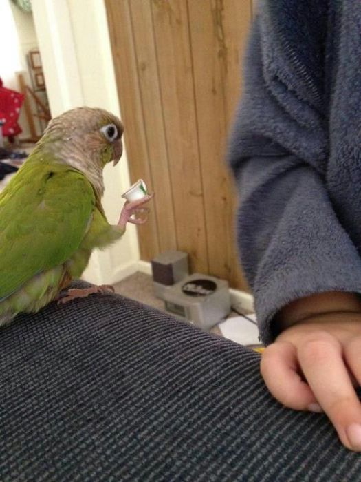 Acid Picdump (110 pics)